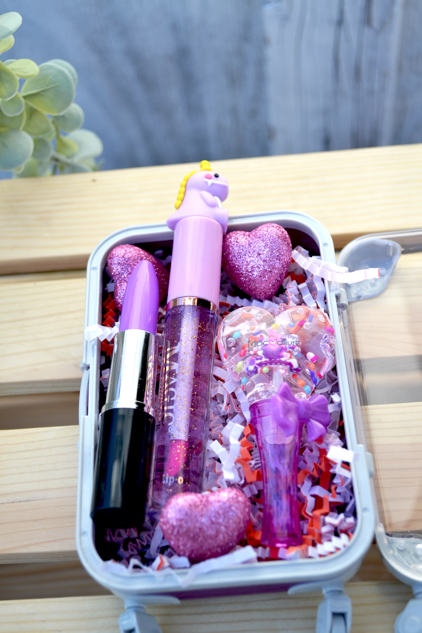 Lipgloss Suitcase